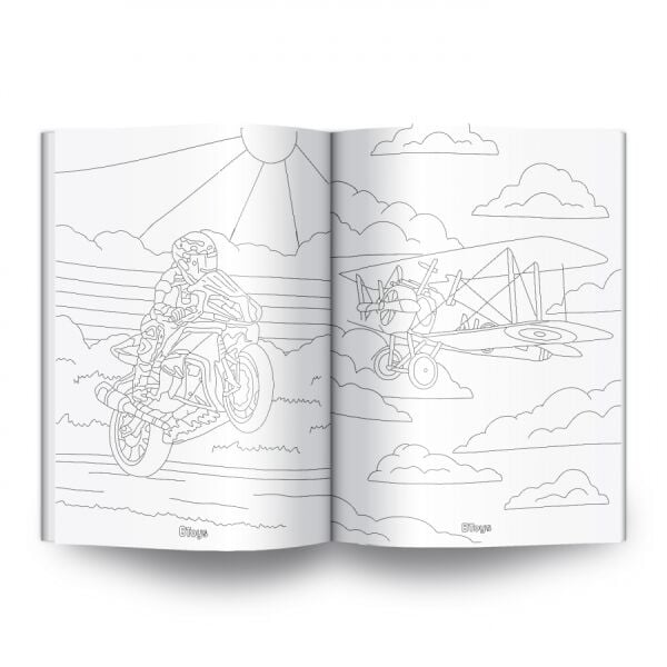 BT-T10105 TASITLAR 16 SYF 24