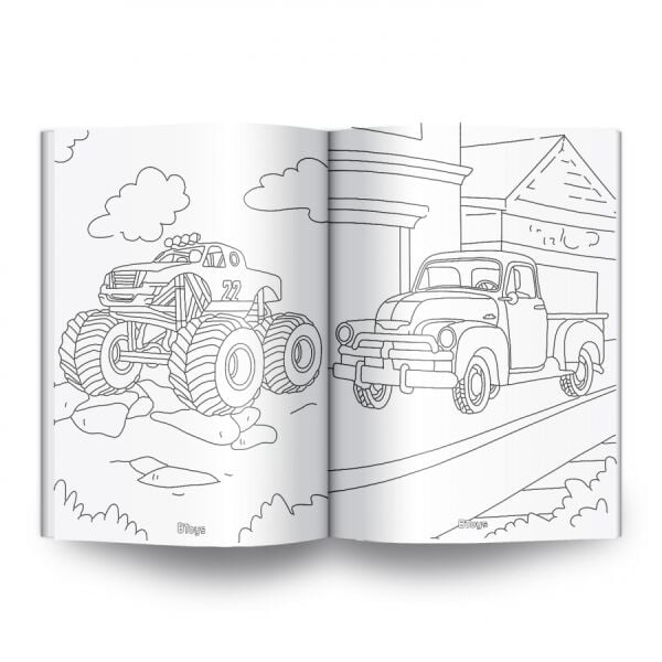 BT-T10107 TASITLAR 32 SYF 24