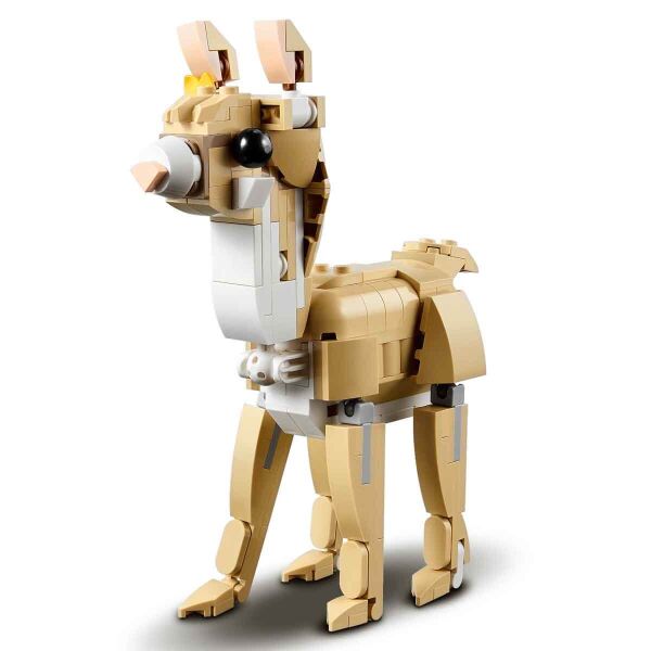 ADOL-LMC31162 SEVIMLI TAVSAN 6