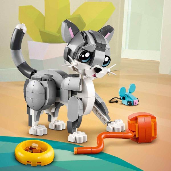 ADOL-LMC31163 OYUNBAZ KEDI  6