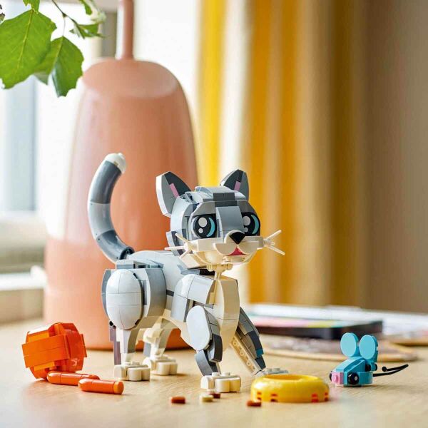 ADOL-LMC31163 OYUNBAZ KEDI  6