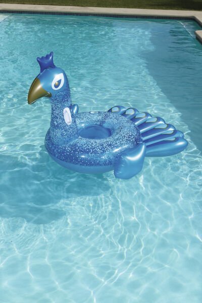 KZLD-BW41101 BINICI TAVUSKUSU 198X164CM TUT KUT 3