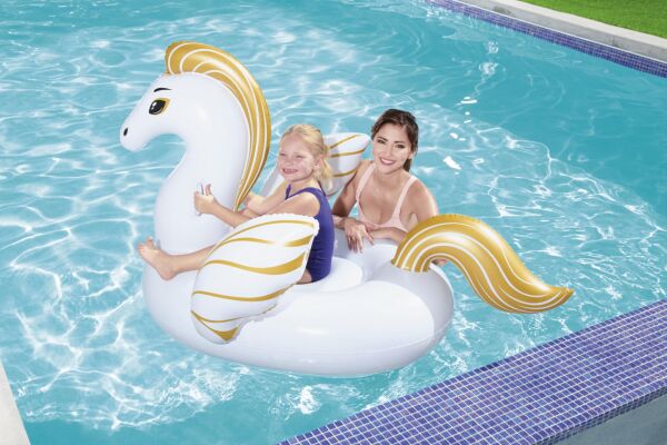 KZLD-BW41121 BINICI PEGASUS 159X109CM TUT  KUT 8