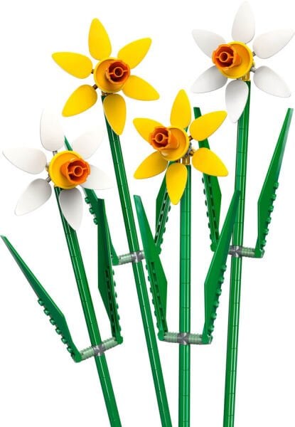 ADOL-LFL40747 DAFFODILS 4