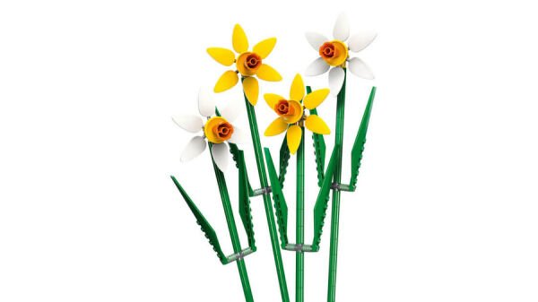 ADOL-LFL40747 DAFFODILS 4