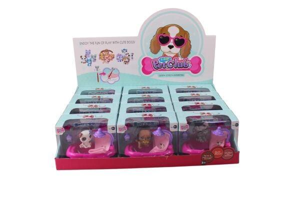 KZL-CL2102B 1-4 MINIS BANYO KEYFI 12LI BOX --  72