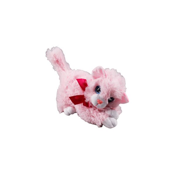 HAL-PL62696 25 CM MIYAVLIYAN  KEDI 70