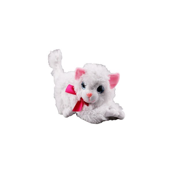 HAL-PL62696 25 CM MIYAVLIYAN  KEDI 70