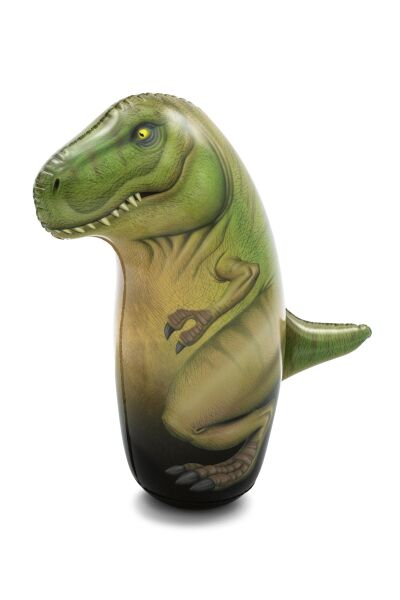 KZLD-BW52287 HACIYATMAZ DINOZORLAR 24