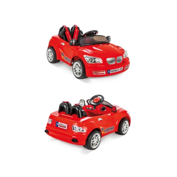 PLS-05-244 FORTUNE 12 V AKULU ARABA KUMANDALI 1