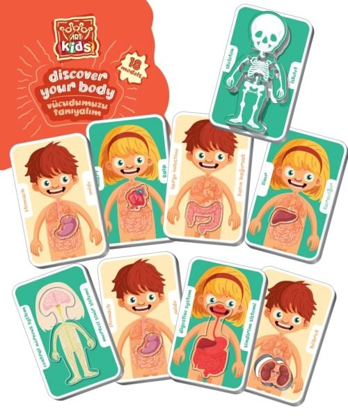 HD-5830 VUCUDUMUZU TANIYALIM 8