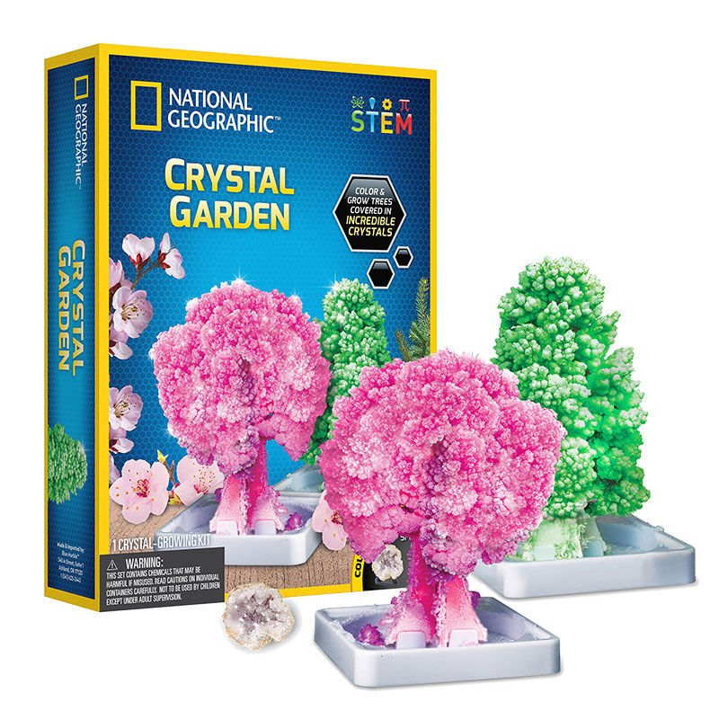GPH-NAT00002 NATGEO KRISTAL BITKI KITI 4 STAND