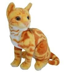 HAL-PL62441 43 CM KEDI 40