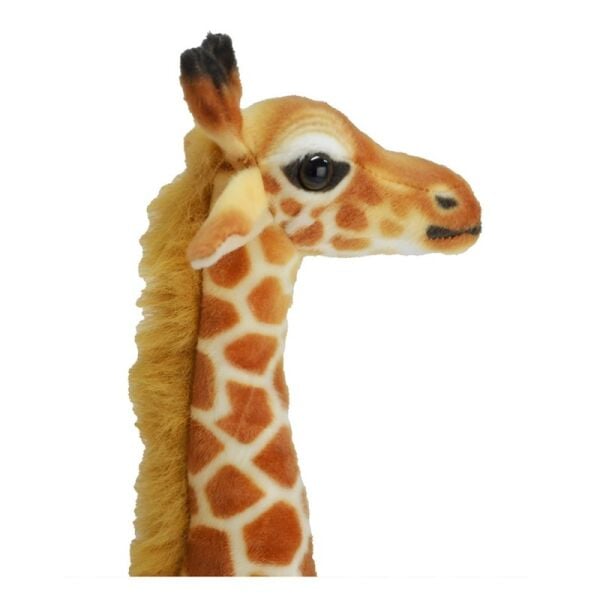 HAL-PL62448 43 CM ZURAFA 32