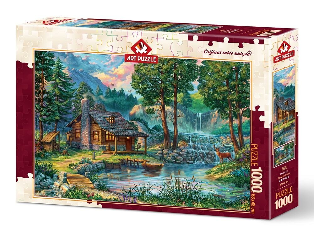 HD-4223 ART 1000 MASAL EVI 6
