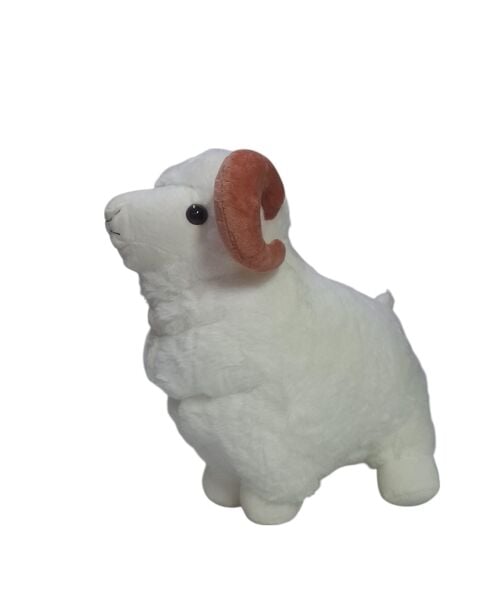 SLY-1589 KOC 33 CM 25