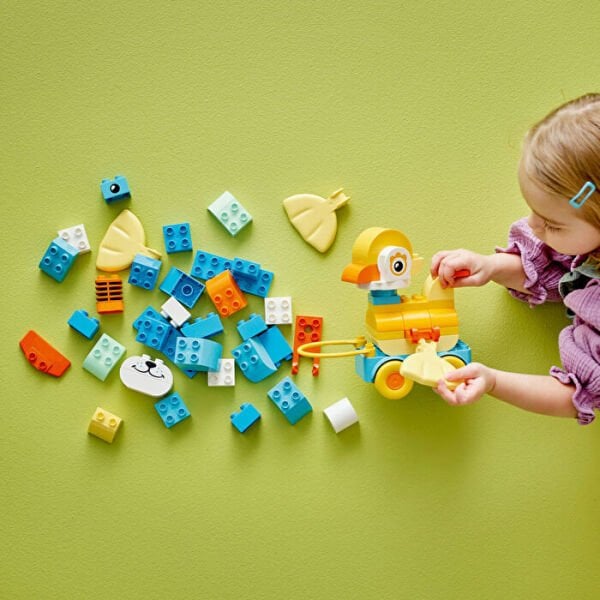 ADOL-LED10448 HAYVANLAR 3