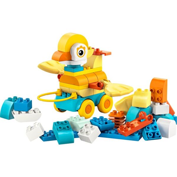 ADOL-LED10448 HAYVANLAR 3