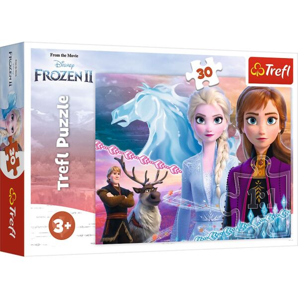 VAR-18253 30 PRC FROZEN2 PUZZLE 20