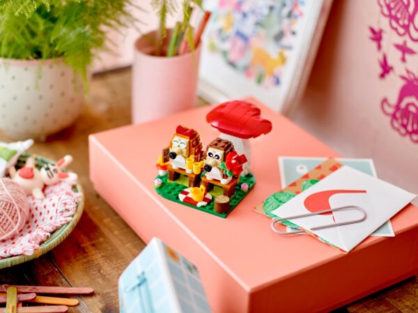 ADOL-LIC40711 KIRPI PIKNIKTE 4