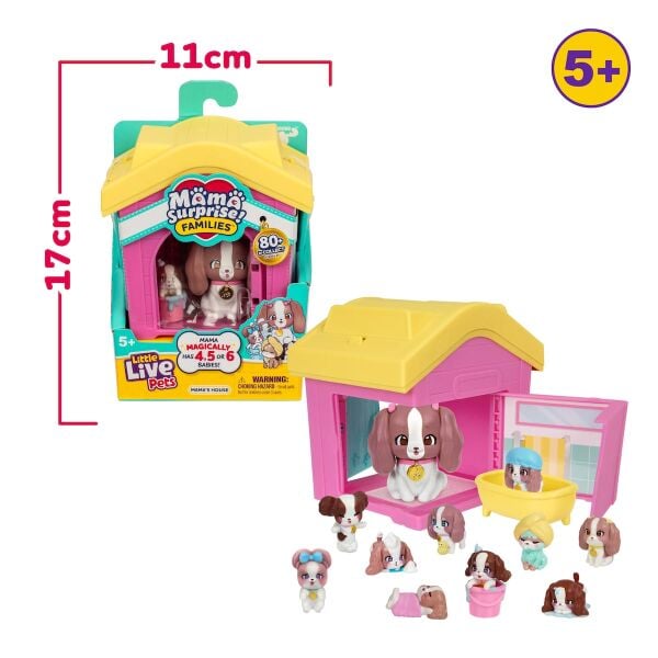 GPH-LP306000-26659 LLP MSF PATI AILESI 12