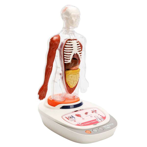 SUN-S00005280 BILIM SET INSAN VUCUDU MOD 23 PRC 4