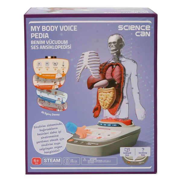 SUN-S00005280 BILIM SET INSAN VUCUDU MOD 23 PRC 4