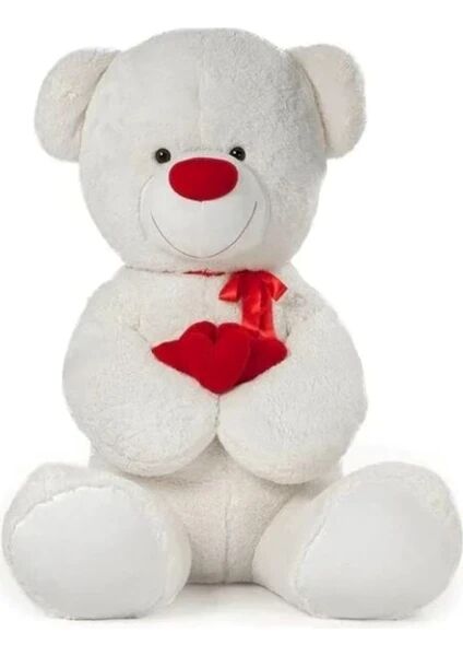 HAL-PL62527 2M KALPLI AYI 2