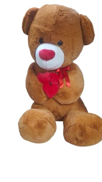 HAL-PL62527 2M KALPLI AYI 2