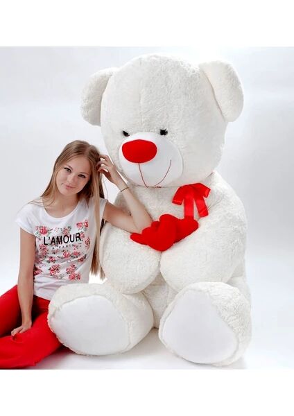 HAL-PL62527 2M KALPLI AYI 2